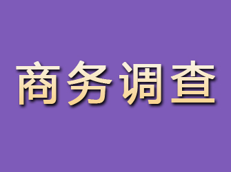 岳阳楼商务调查